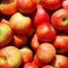 streuobstwiesen-apfelsaft-direktsaft-3l-ansicht-4